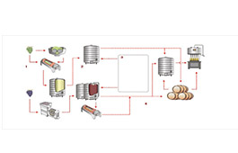 葡萄酒的酿造