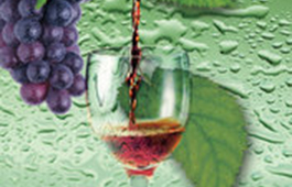 【上海】斯享“酿酒葡萄品种”系列课程|打开一扇窗，进入这片世界