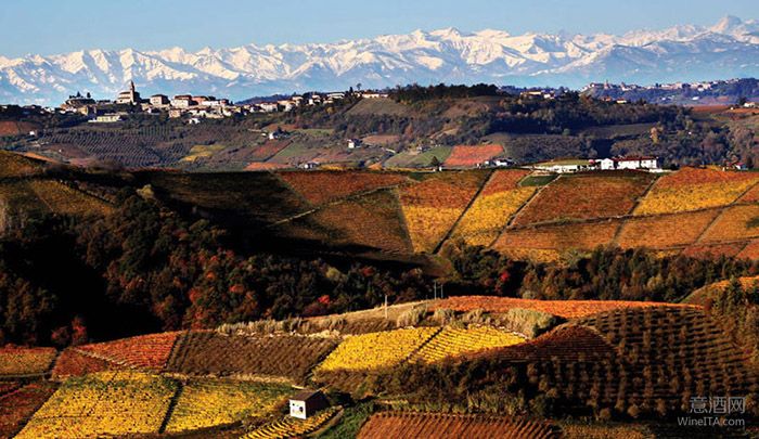 意大利15个小城成为“2016欧洲葡萄酒文化之都”