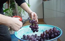 青岛举办第六届家庭葡萄酒自酿大赛