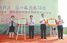 “爬地龙”栽培新模式观摩会夏县召开