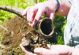 【上海】生物动力法:阴谋?玄学?
