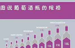 葡萄酒瓶规格