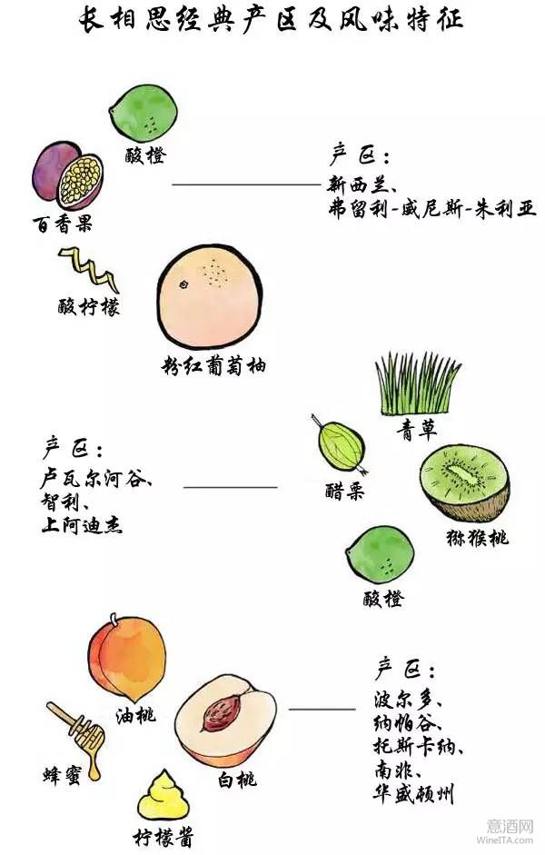 长相思白葡萄酒有 99% 来自这些地方