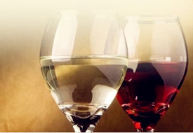 【成都】《世界百大葡萄酒庄品游及评分大全》读者见面酒会