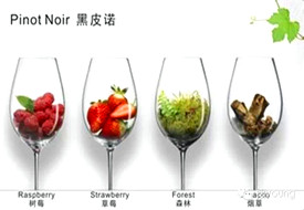 【上海】 Pinot专场（二）