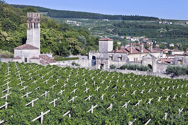 Valpolicella  蕴育风干葡萄酒之王阿玛罗耐Amarone的著名产区