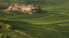 意大利著名葡萄酒产区葡萄园价格持续上涨50年