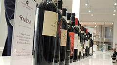 Nizza DOCG尼扎 意大利又一新的保证法定产区酒诞生