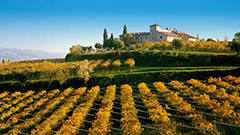 加尔达Garda DOC法定产区葡萄酒 融入意大利歌剧的酒乡佳酿