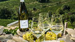 阿斯蒂Asti产区将生产干型起泡葡萄酒