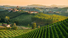 意大利值得一去的产区和葡萄园