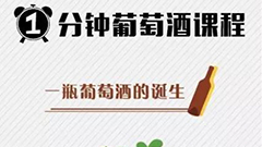 葡萄酒是怎么酿成的？一张图读懂葡园四季