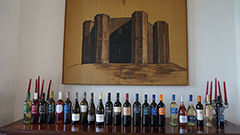 普利亚产区葡萄酒崛起的代表 Rivera酒庄