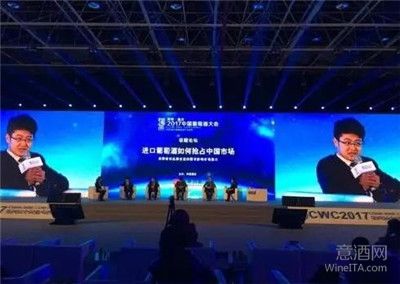 进口葡萄酒风口渐盛，未来如何发展