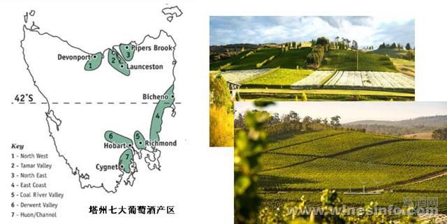 澳大利亚塔州本土葡萄酒品牌探路中国