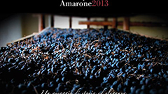 中高品质年份 2013年份阿玛罗耐Amarone新酒品鉴大会落幕