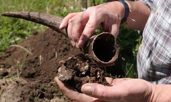 【北京】当酒王御用葡萄品种遇上有机种植和生物动力法