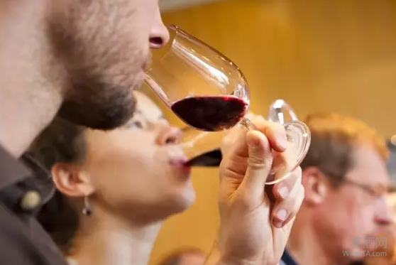 喝罗讷河谷葡萄酒？那你就要这样挑选酒杯