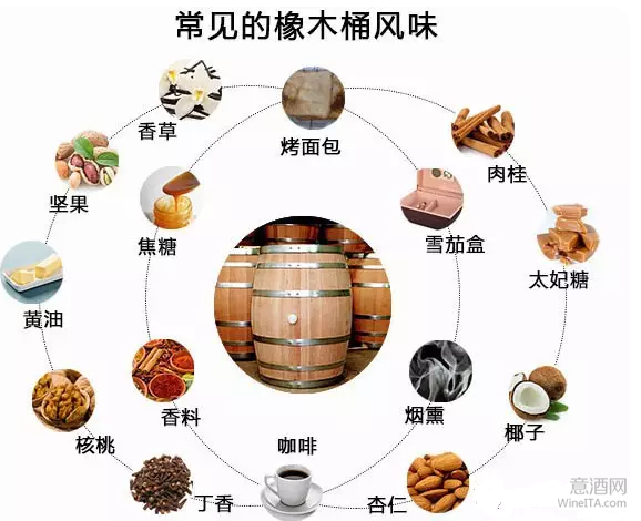 教你几个品酒术语（小白篇）
