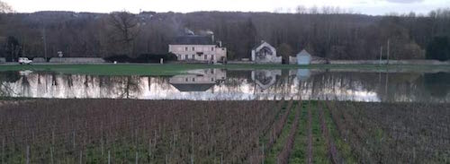 法国洪水危机：香槟产区播报