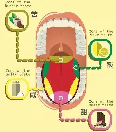 葡萄酒也有鲜味，辣味和涩味？