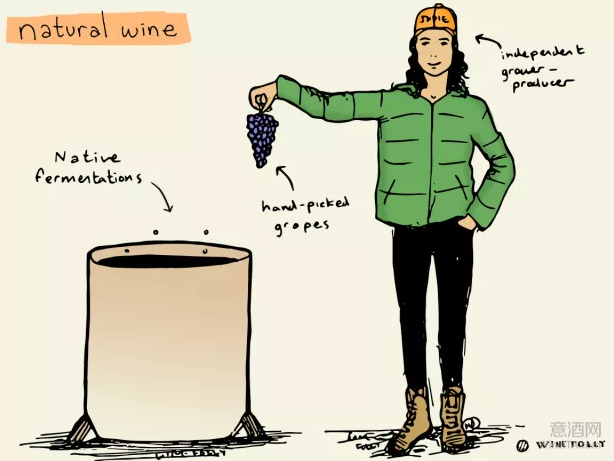 什么是天然葡萄酒，它的口感是什么样的