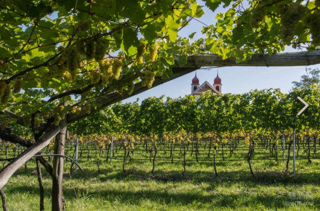 2017年度意大利葡萄酒企业实力排行榜：第70位-74位