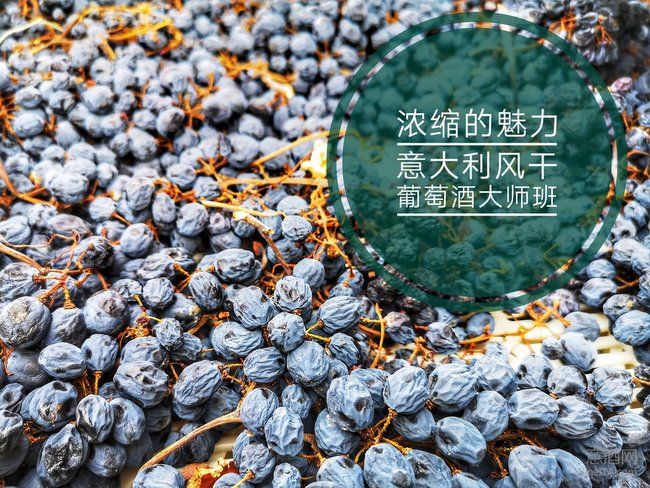 浓缩的魅力 意酒网2019秋糖风干葡萄酒大师班报名