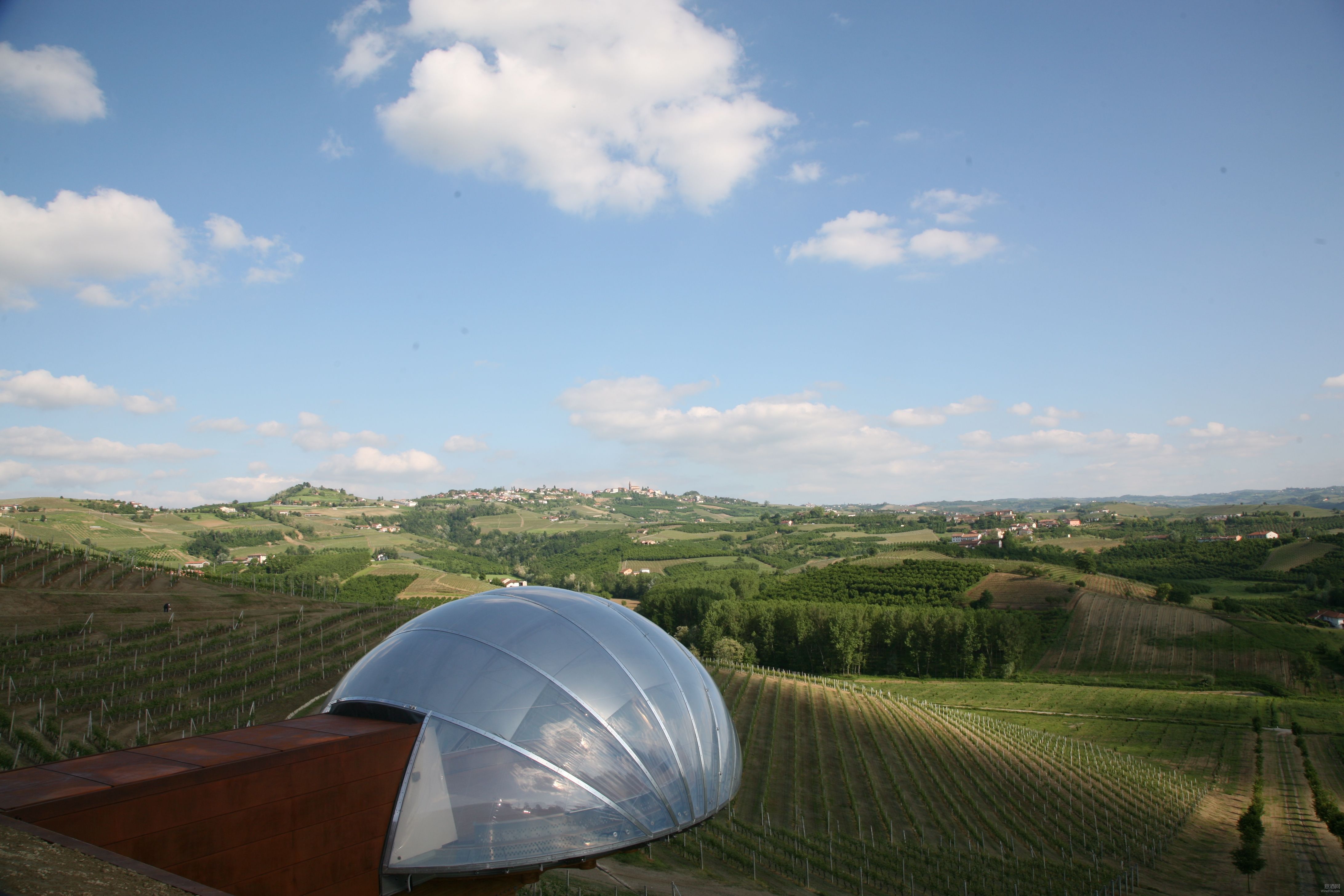 2020产区夏季连线｜Ceretto酒庄：Nebbiolo葡萄园正处于最葱郁的时间
