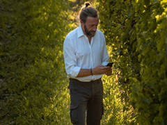 葡萄园评价体系｜专注葡萄园评价的比格特指数创立 2020年度意大利最佳葡萄园诞生