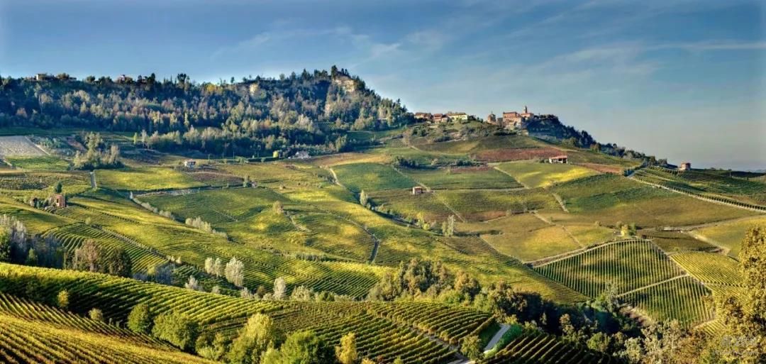 产经观察｜意大利酒庄探索葡萄酒与农业协同发展 提升农产品市场潜力和附加值