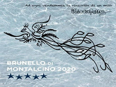 跨界｜布鲁奈罗产区联名意籍游泳名将 2020年份形象主题为泳池凤凰