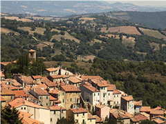 观察 | 葡萄酒产区发展大区化 莫雷利诺Morellino产区可自愿加标Toscana标识