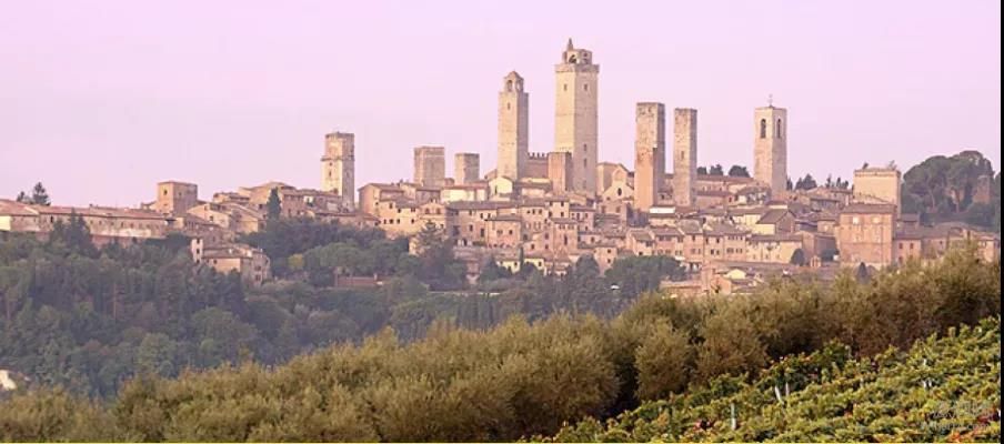 Vernaccia di San Gimignano,圣吉米亚诺的维奈恰,托斯卡纳,WineITA团队