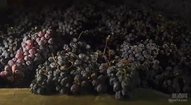 超级瓦波利切拉,Valpolicella Superiore,威尼托,里帕索,WineITA团队