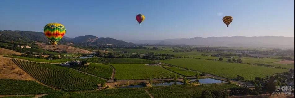 托斯卡纳,蒙塔奇诺,Toscana,Montalcino,加利福利亚州,纳帕谷,WineITA团队