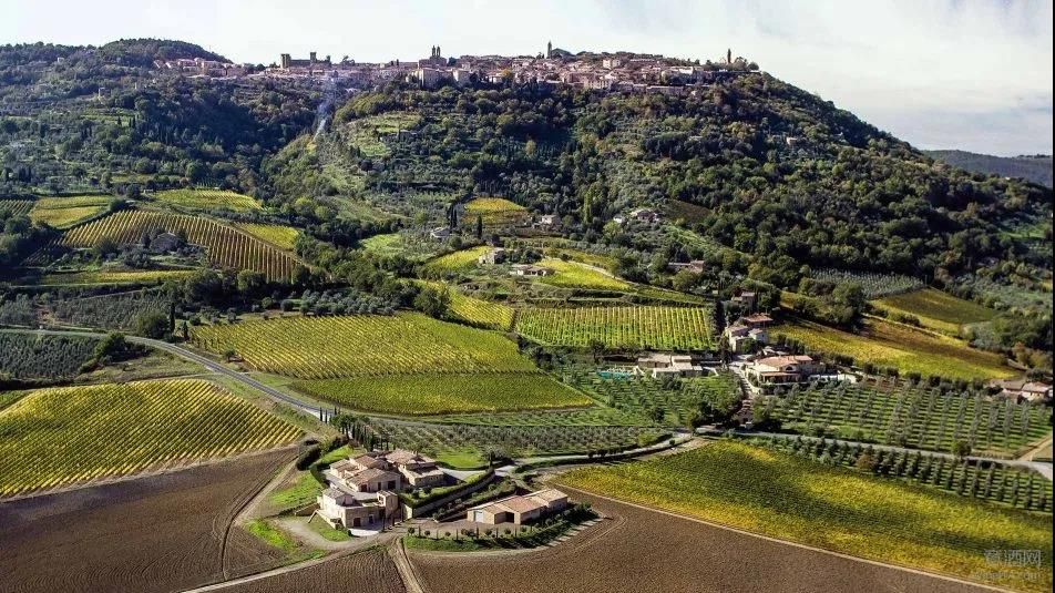 托斯卡纳,蒙塔奇诺,Toscana,Montalcino,加利福利亚州,纳帕谷,WineITA团队