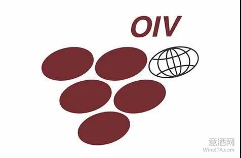 OIV新主席,Luigi Moio,国际葡萄与葡萄酒组织,科学,WineITA团队