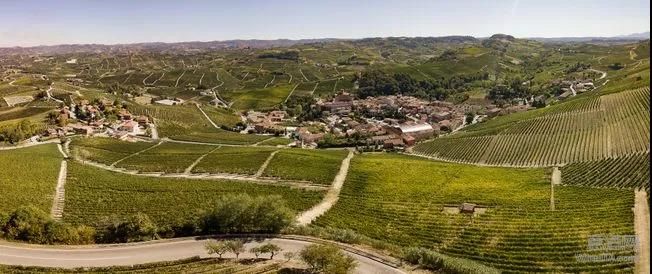 Marchesi di Barolo,巴罗洛侯爵,巴巴莱斯科,内比奥罗,WineITA团队