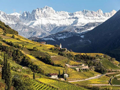 产区 | 上阿迪杰Alto Adige DOC法定产区划分84个UGA单一园 崛起的高山精品酒产区