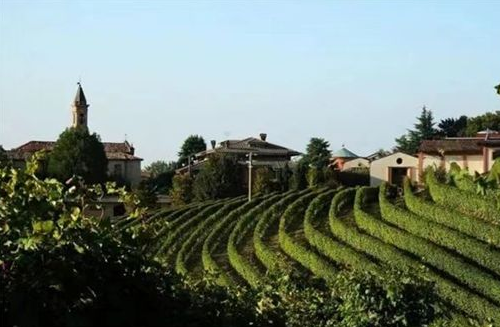意酒网法定产区知识速览-1 | 阿斯蒂Asti DOCG保证法定产区 小甜水Moscato d'Asti是这个产区的子酒种之一