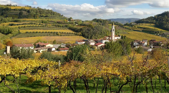 年度报告｜意大利2021年度装瓶量和拥有葡萄园面积前十大酒庄都有谁？