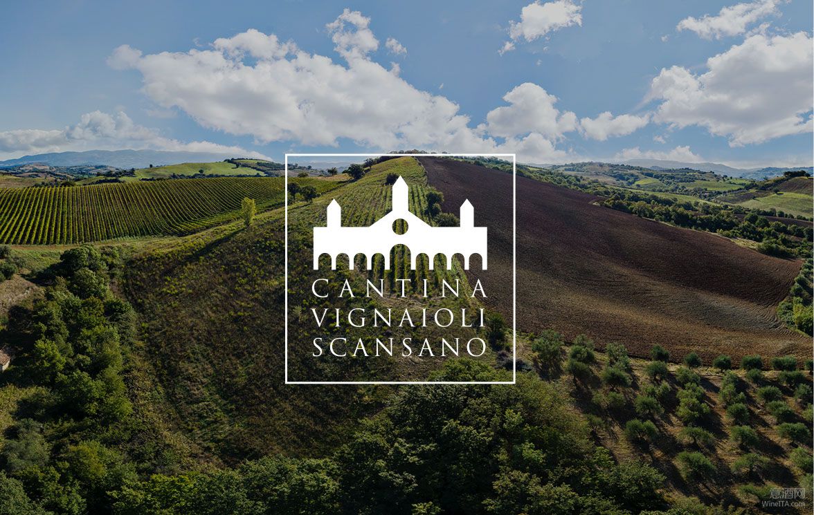 专访 | 酿造充满海洋气息的桑娇维塞佳酿 托斯卡纳南部合作社酒庄Vignaioli di Scansano的成长之路